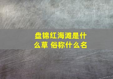 盘锦红海滩是什么草 俗称什么名